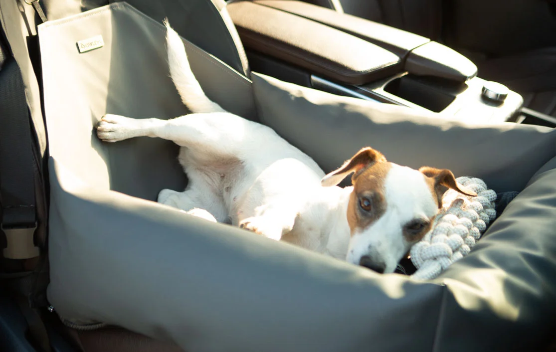 Mercedes-Benz GLC Dog Car Seat for Cockapoos