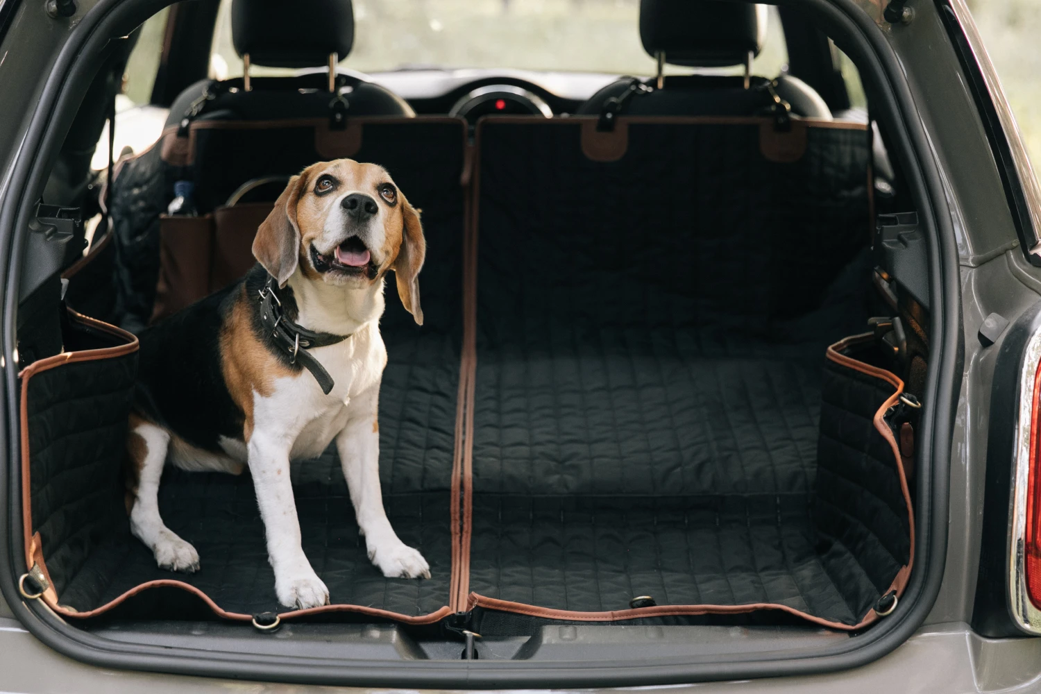 pet seat cover for GMC Sierra