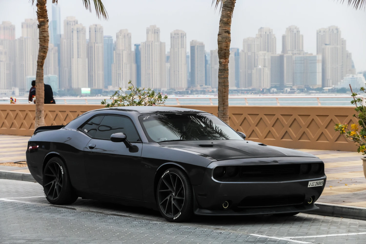 Dodge Challenger organization ideas