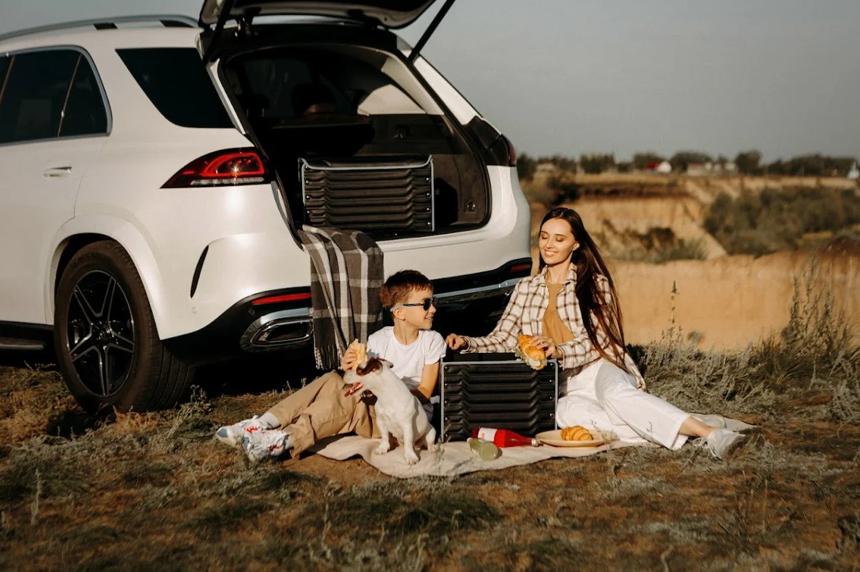 picnic blanket with strap