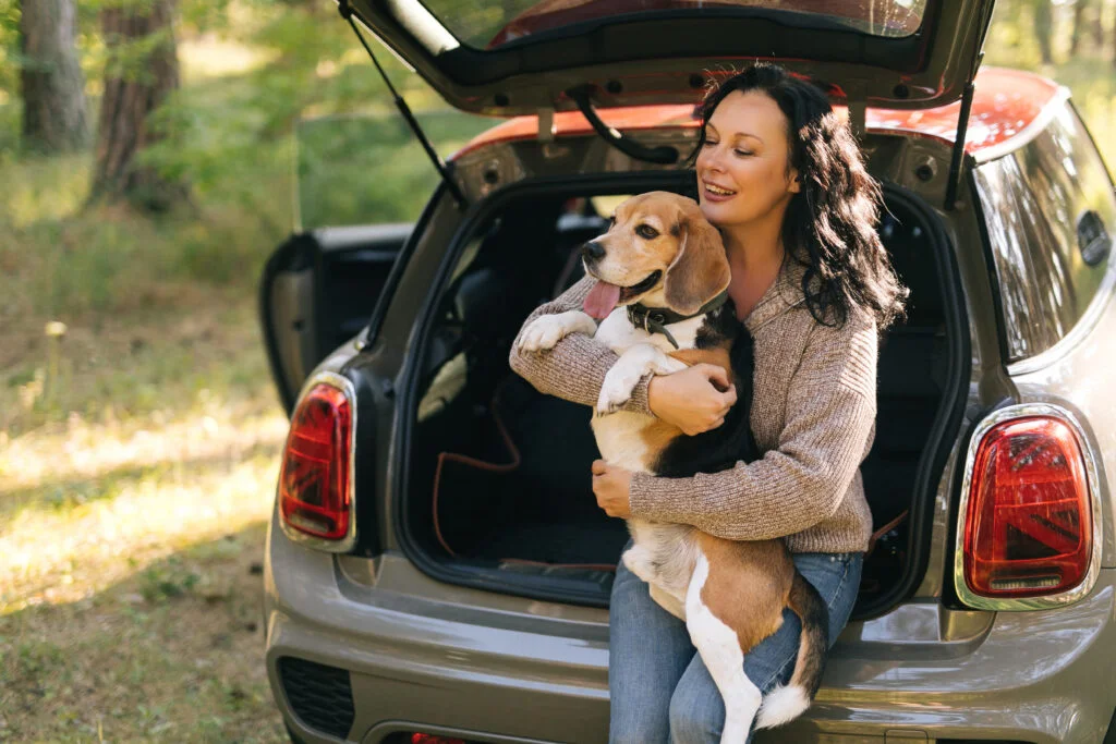 dog back seat cover for GMC Sierra