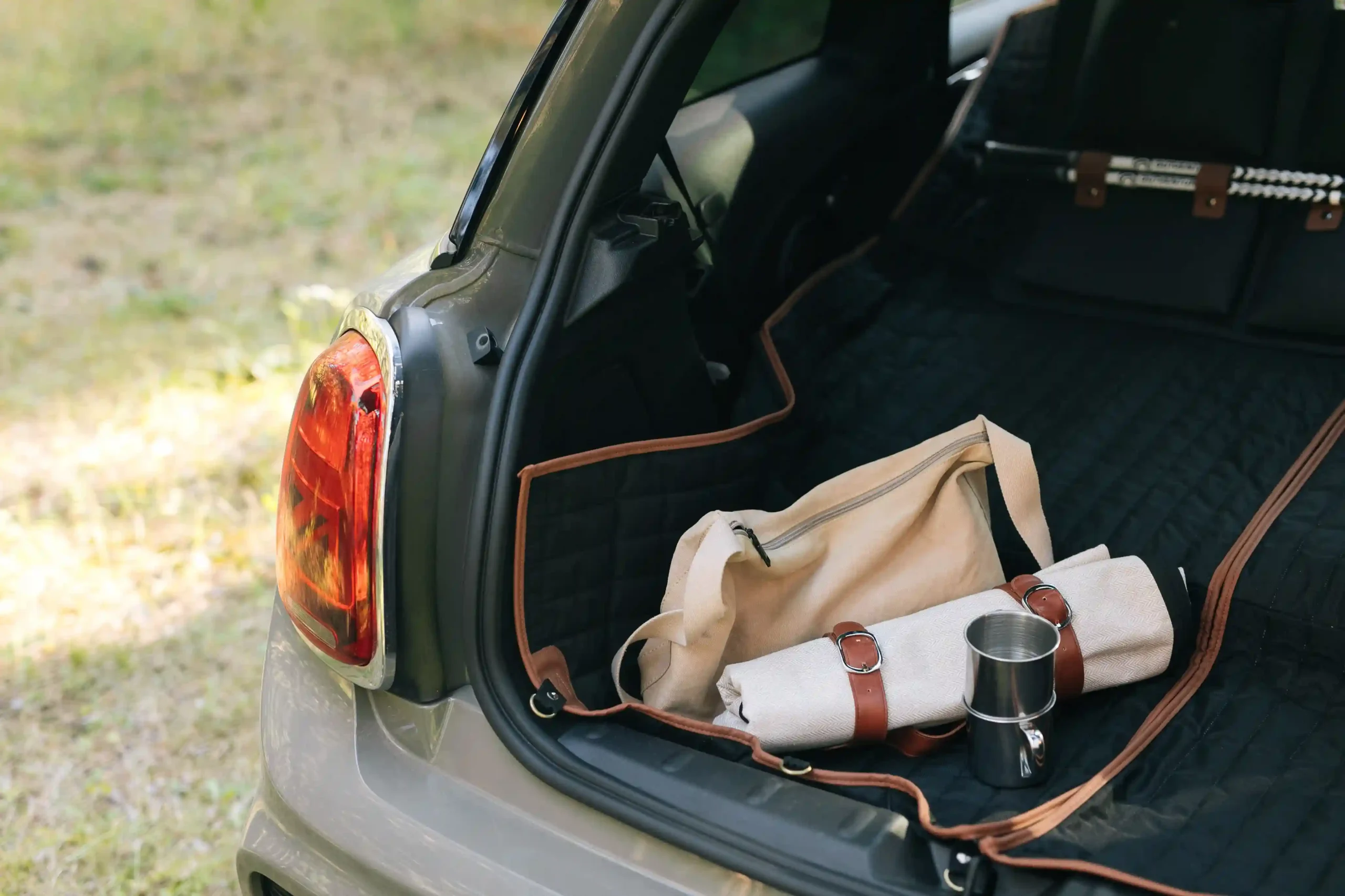 foldable picnic blanket