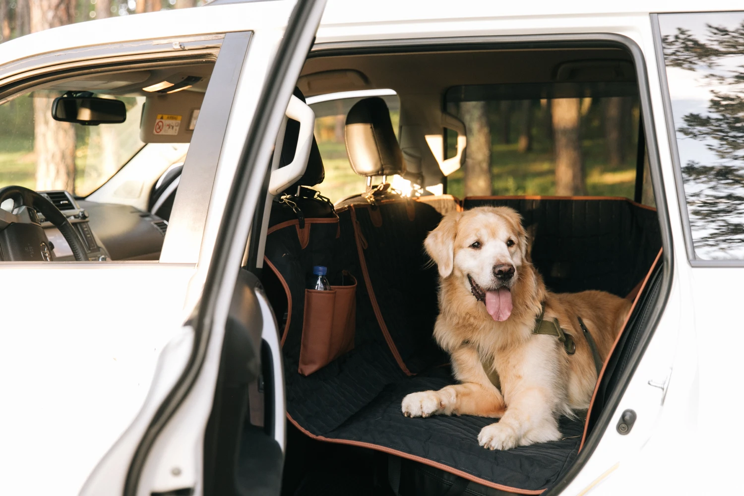 Soft Coated Wheaten Terriers back seat cover for Buick Encore