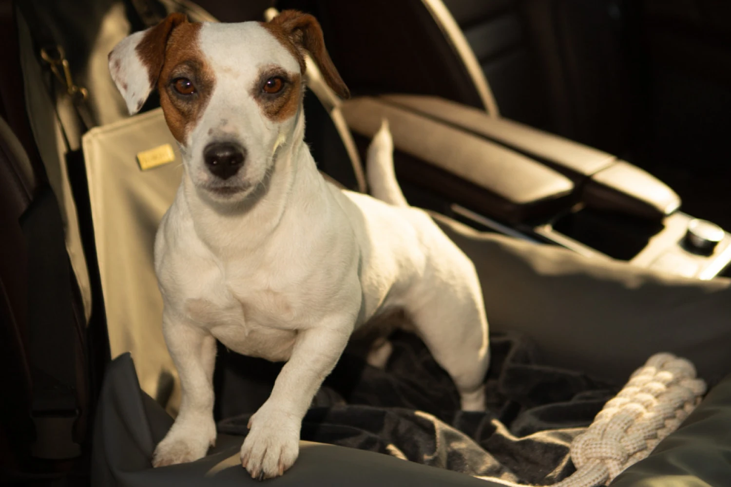 Parson Russell Terriers Dog Car Seat for Dodge Challenger