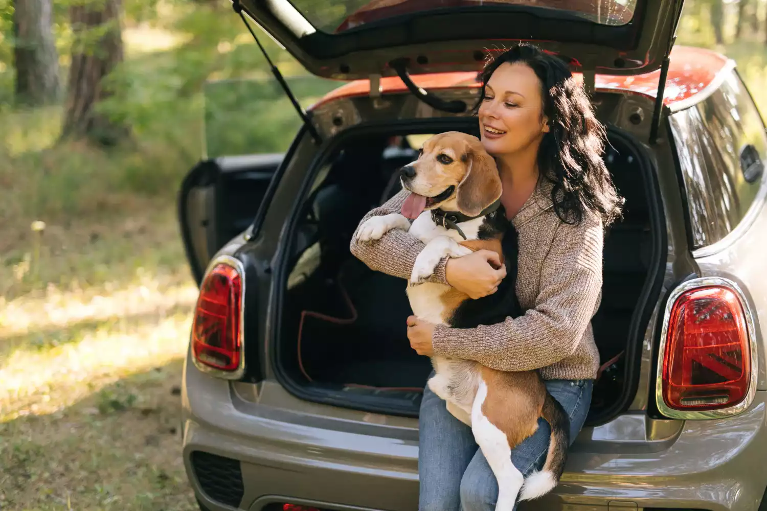 dog back seat cover for GMC Sierra