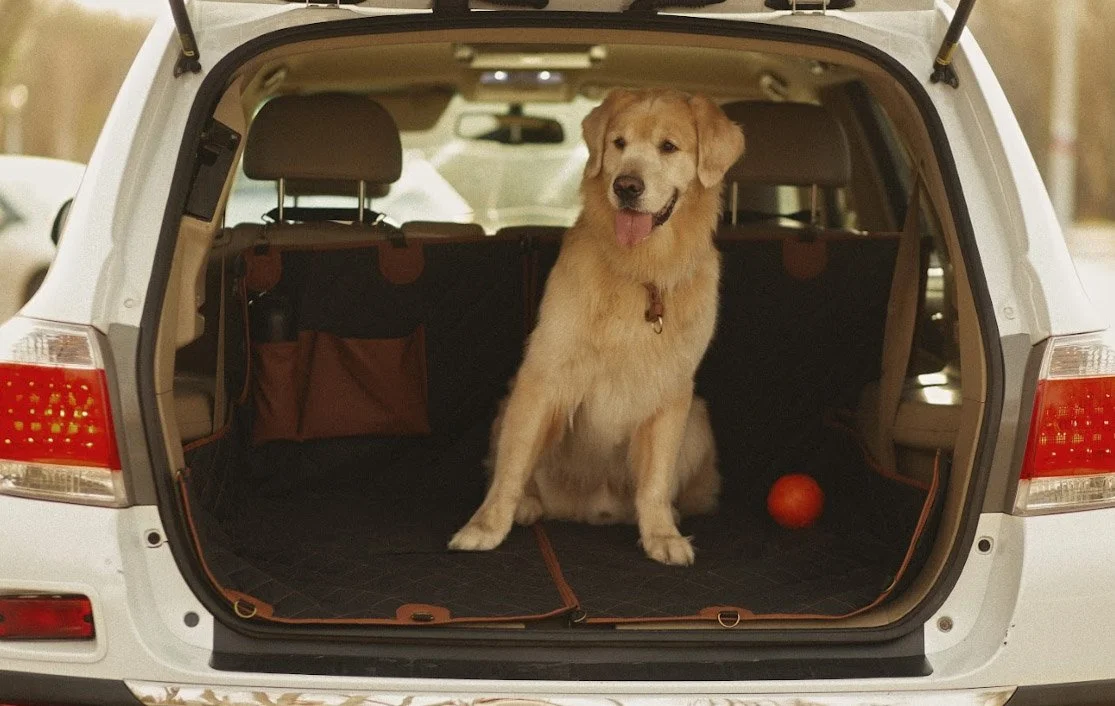 Mercedes-Benz GLC back seat cover for Bullmastiffs