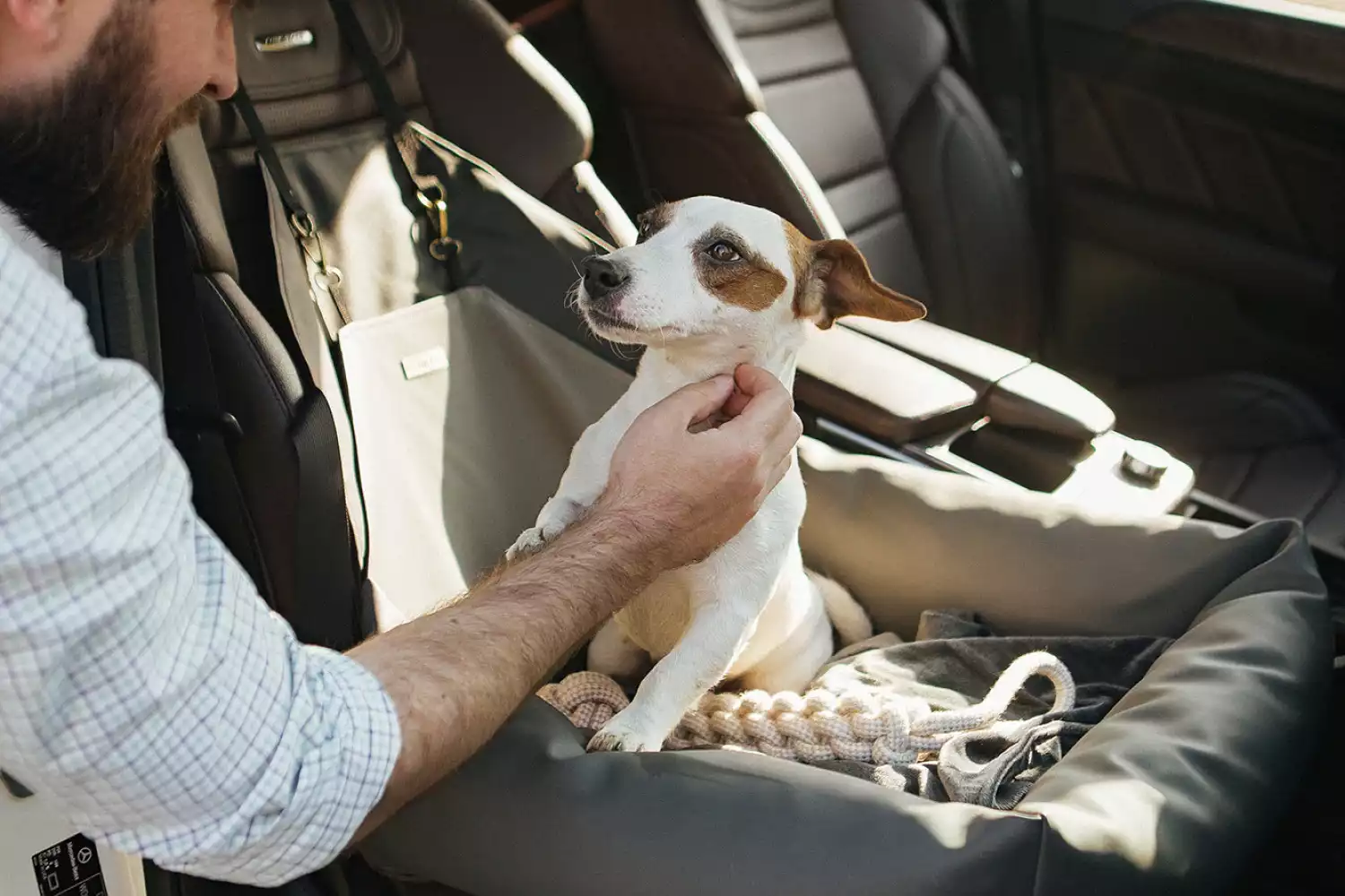 Subaru Ascent Dog Car Seat for Dachshunds