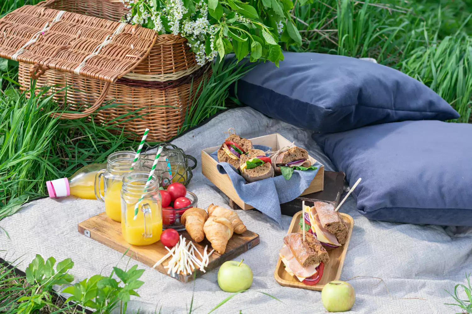 best outdoor picnic blankets