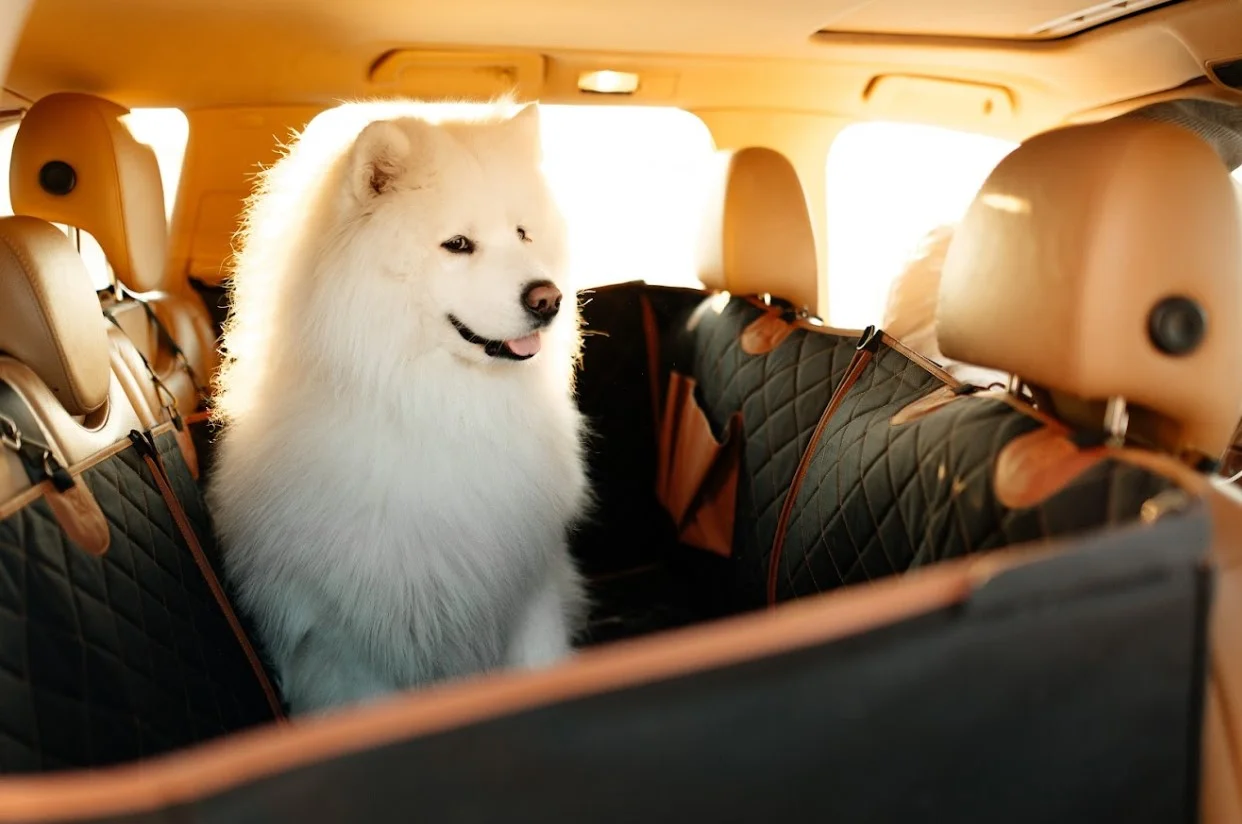 dog back seat cover for Honda CR-V