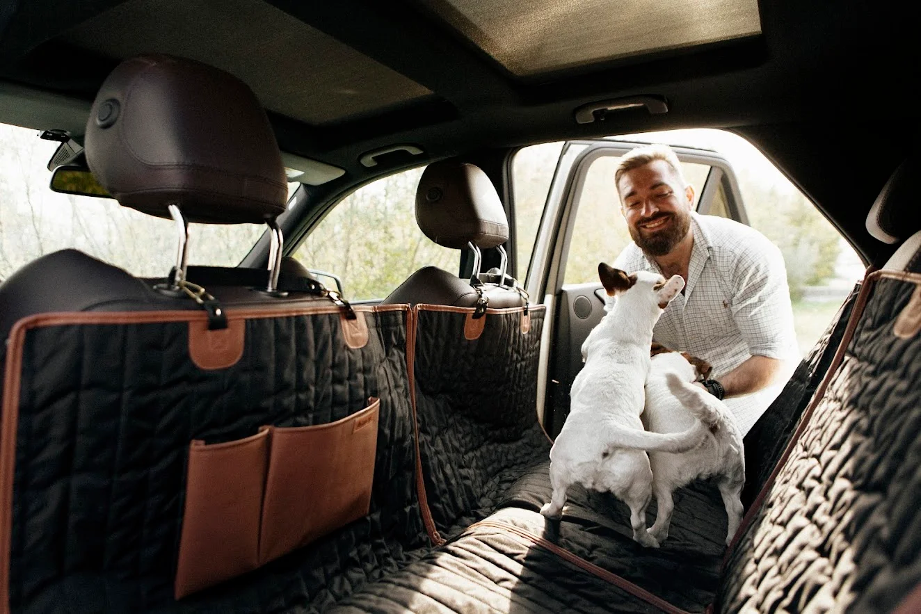 Cane Corso back seat cover for Nissan Rogue