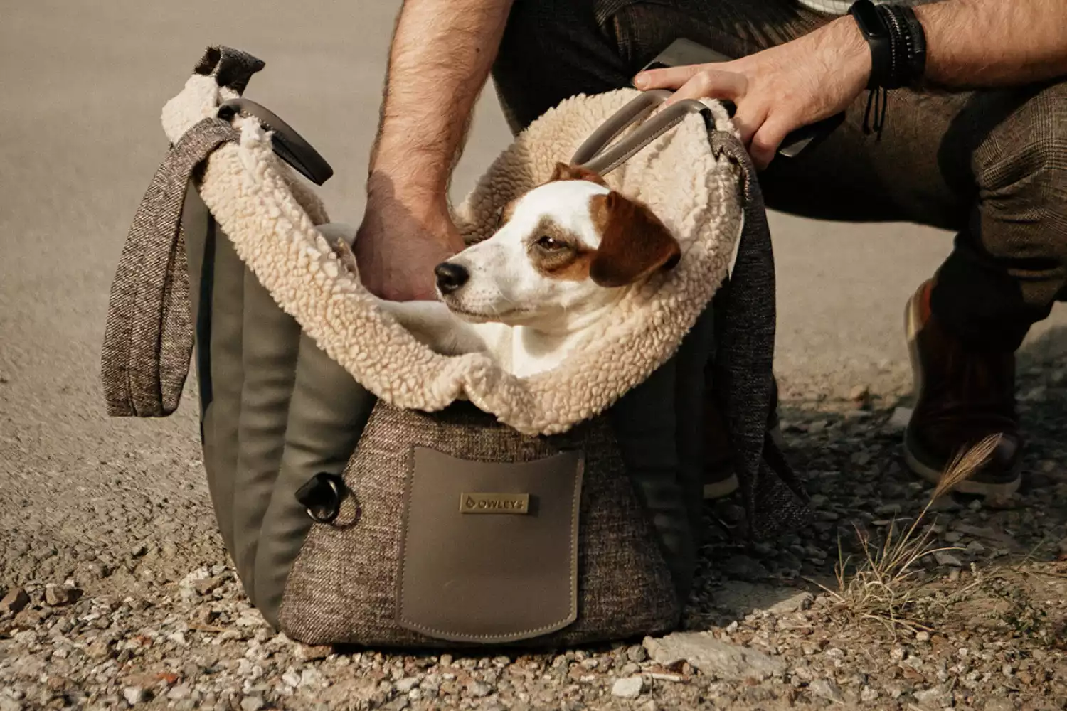 Dog Carrier Purse for Lhasa Apso