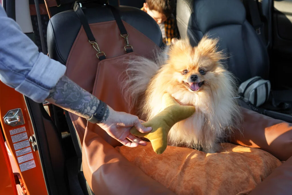 Mercedes-Benz GLC Dog Car Seat for Cockapoos