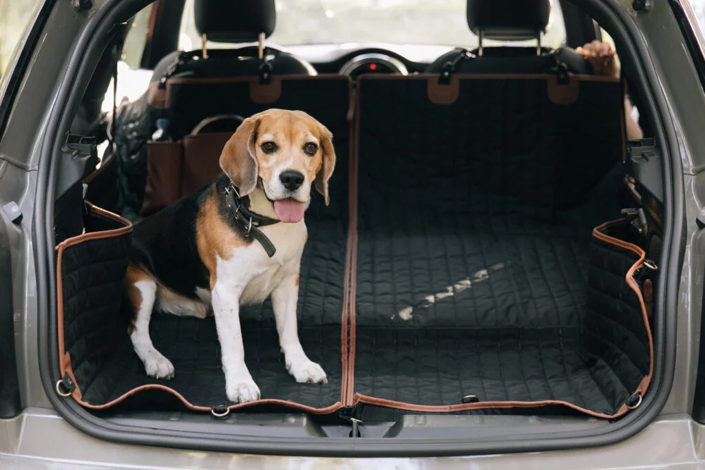 Golden Retrievers back seat cover for Honda CR-V