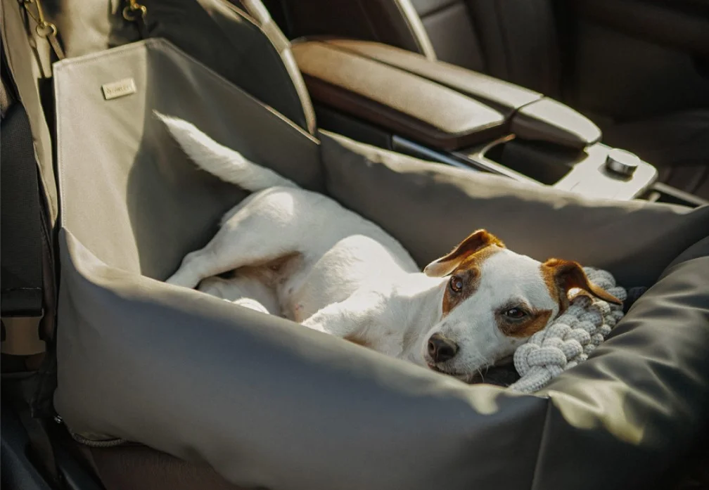 Subaru Ascent Dog Car Seat for Dachshunds