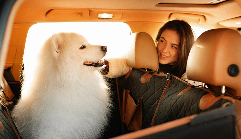 Maltese back seat cover for Chevrolet Blazer