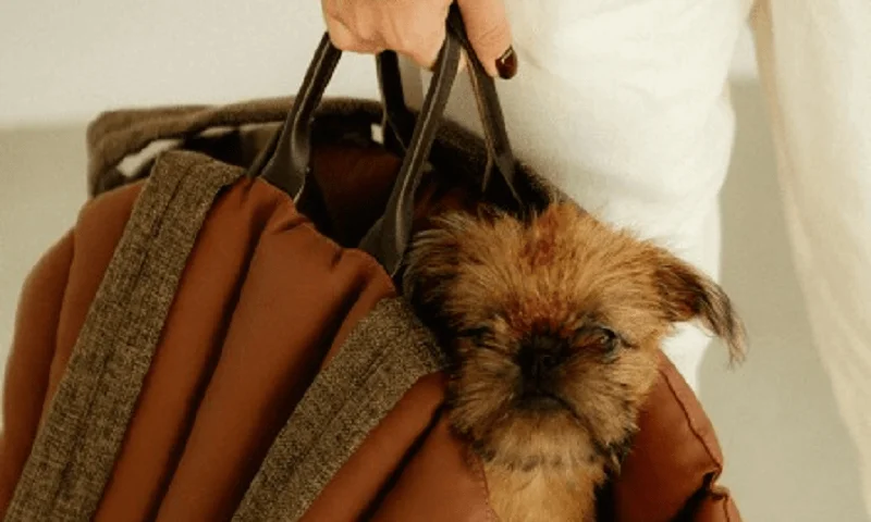 Dog Carrier Purse for Pomeranian