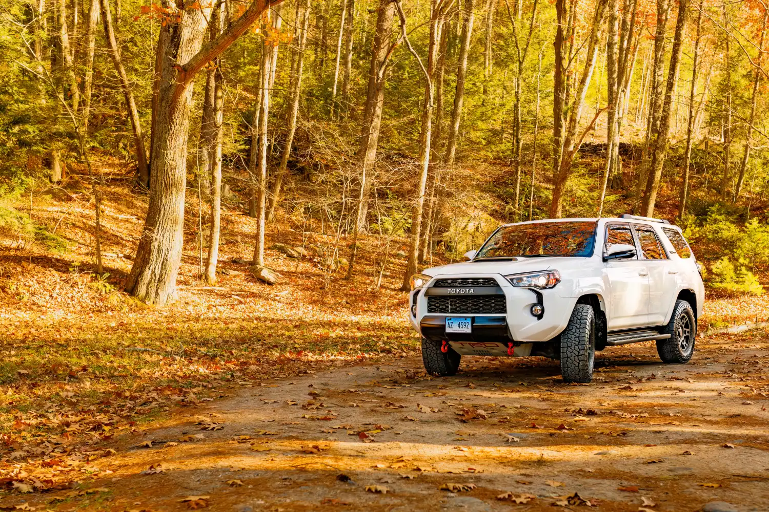 Toyota 4Runner car trash can