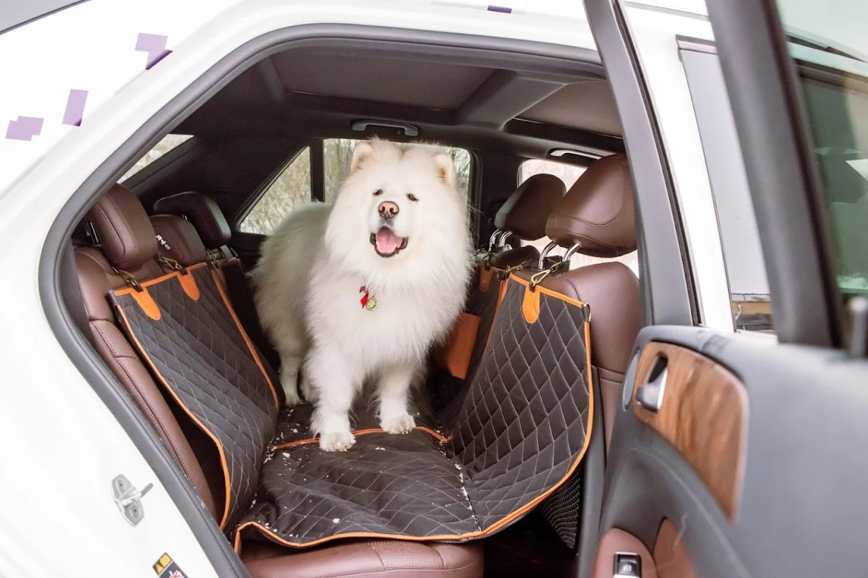 pet seat cover for Toyota RAV4