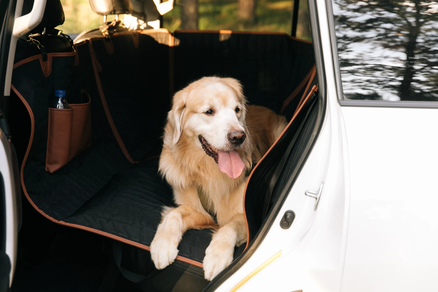 Jeep Renegade back seat cover for Maltese