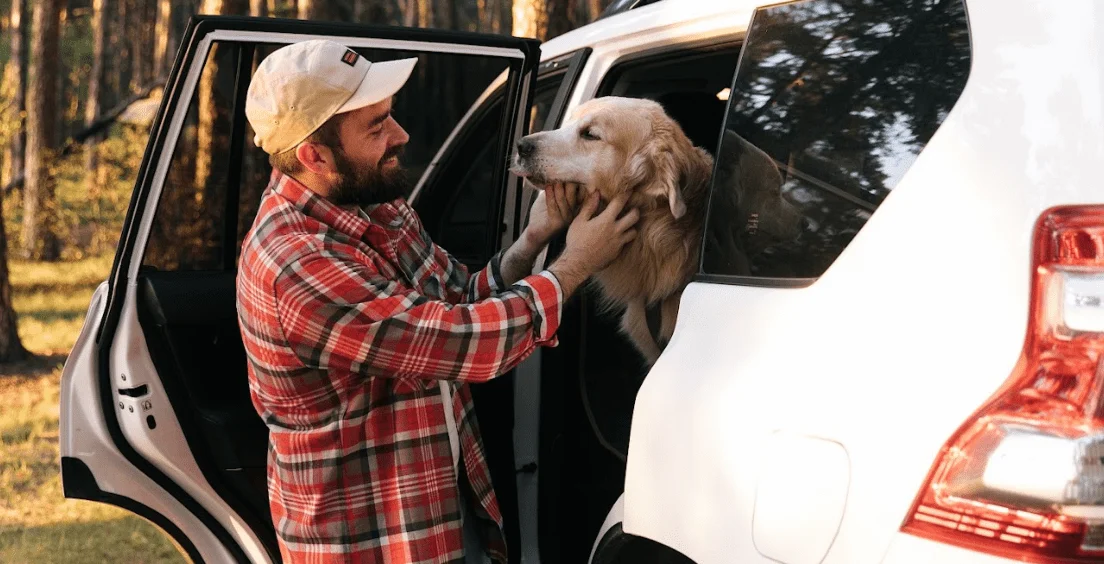 Border Collies  Dog Safety Belt for GMC Sierra