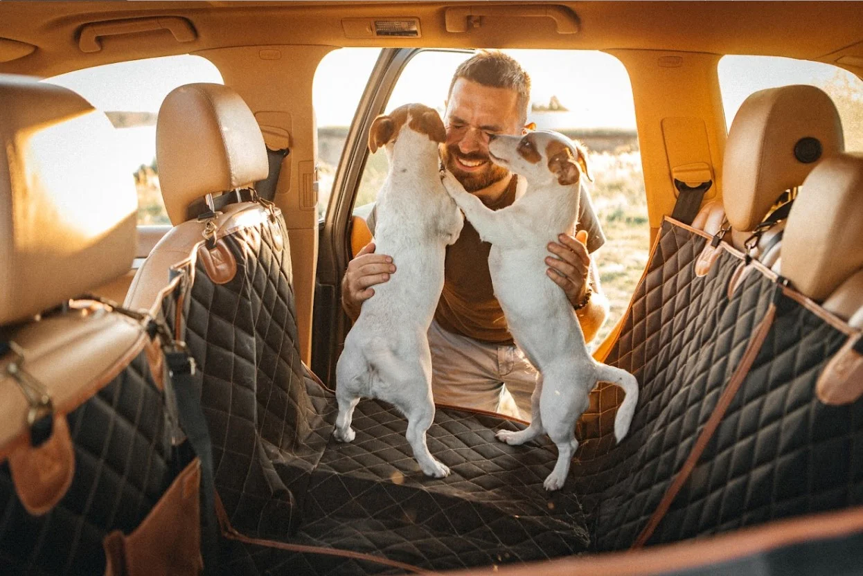 Irish Wolfhounds back seat cover for Toyota Tundra