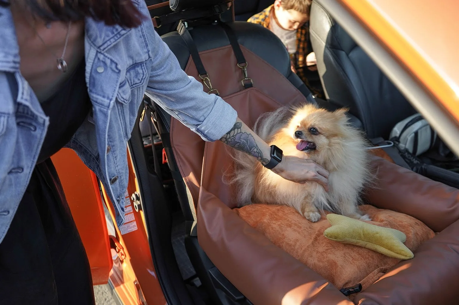 Dodge Grand Caravan Dog Car Seat for West Highland White Terriers